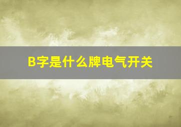 B字是什么牌电气开关