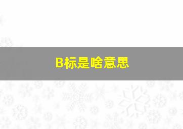 B标是啥意思