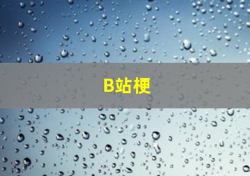 B站梗