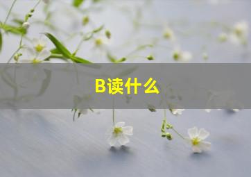 B读什么