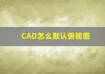 CAD怎么默认俯视图