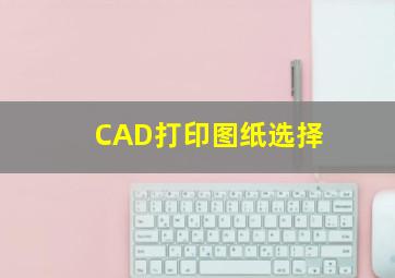 CAD打印图纸选择