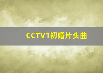 CCTV1初婚片头曲