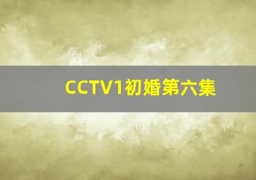 CCTV1初婚第六集