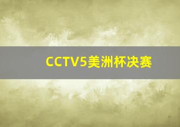 CCTV5美洲杯决赛