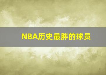 NBA历史最胖的球员