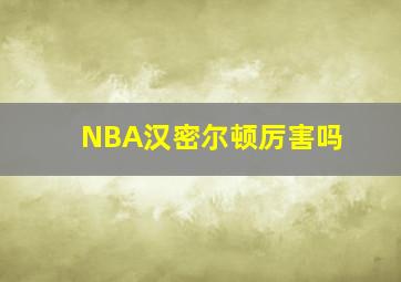 NBA汉密尔顿厉害吗