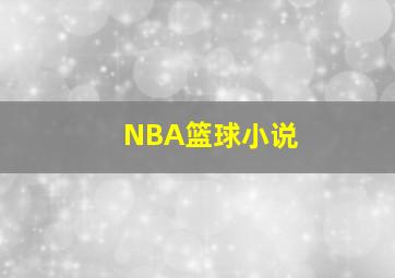 NBA篮球小说