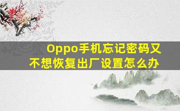 Oppo手机忘记密码又不想恢复出厂设置怎么办