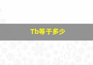 Tb等于多少