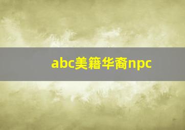 abc美籍华裔npc