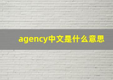 agency中文是什么意思