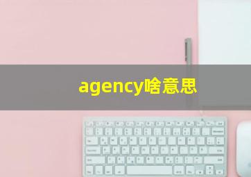 agency啥意思