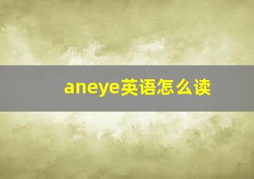 aneye英语怎么读