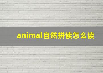 animal自然拼读怎么读