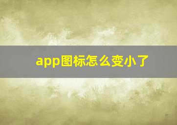 app图标怎么变小了