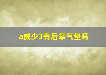 a威少3有后掌气垫吗