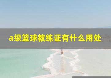 a级篮球教练证有什么用处