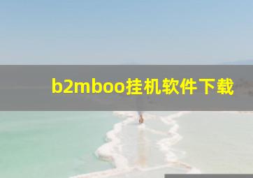 b2mboo挂机软件下载