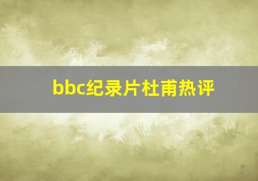 bbc纪录片杜甫热评