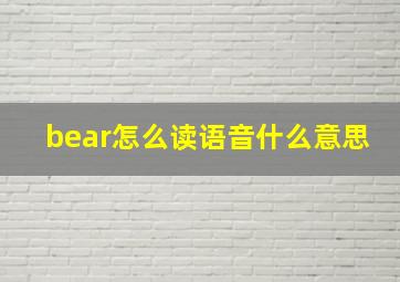 bear怎么读语音什么意思