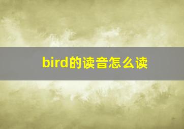 bird的读音怎么读