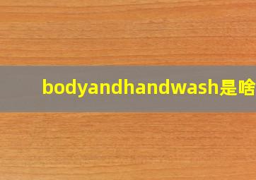 bodyandhandwash是啥意思