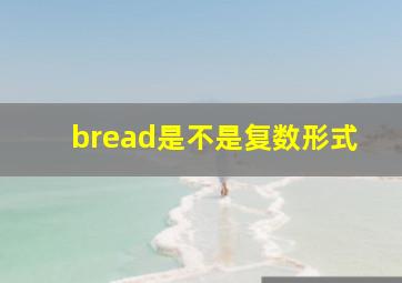 bread是不是复数形式