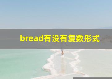 bread有没有复数形式