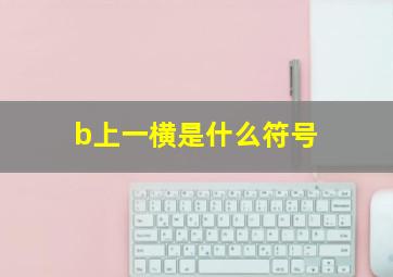 b上一横是什么符号