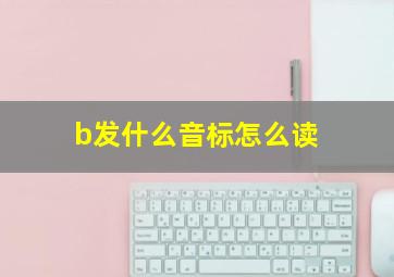 b发什么音标怎么读