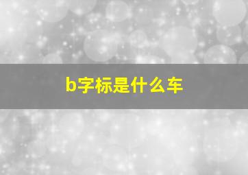 b字标是什么车