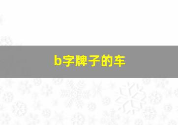 b字牌子的车