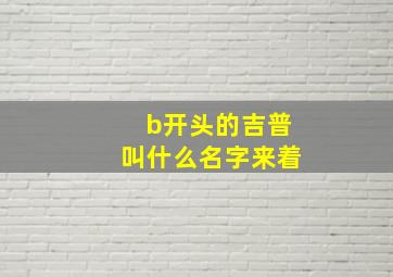 b开头的吉普叫什么名字来着