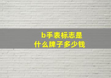 b手表标志是什么牌子多少钱