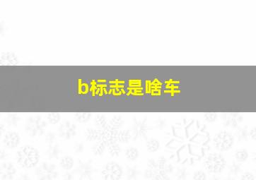 b标志是啥车