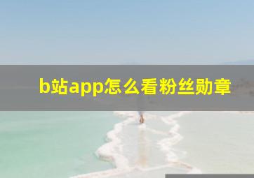 b站app怎么看粉丝勋章