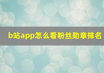 b站app怎么看粉丝勋章排名