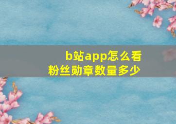 b站app怎么看粉丝勋章数量多少