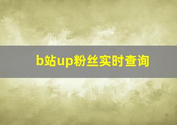 b站up粉丝实时查询