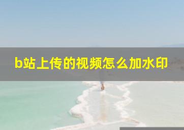 b站上传的视频怎么加水印