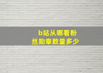 b站从哪看粉丝勋章数量多少