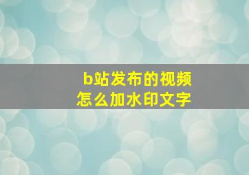 b站发布的视频怎么加水印文字