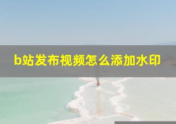 b站发布视频怎么添加水印