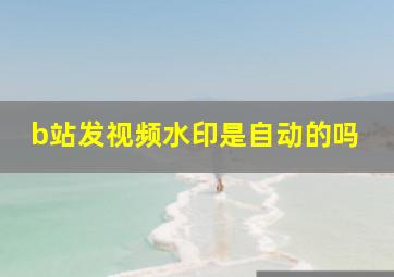 b站发视频水印是自动的吗