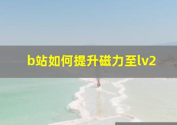 b站如何提升磁力至lv2