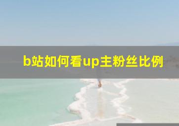 b站如何看up主粉丝比例