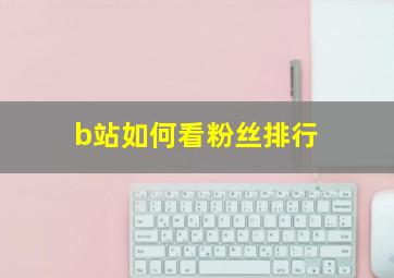 b站如何看粉丝排行