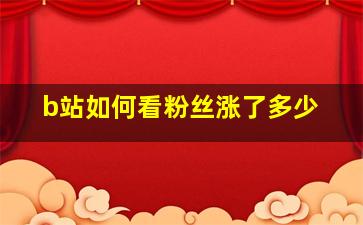 b站如何看粉丝涨了多少