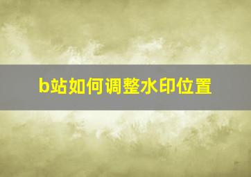 b站如何调整水印位置